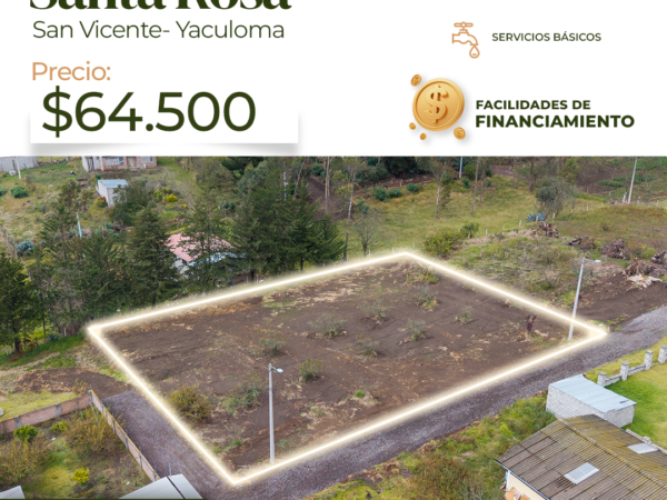 TZU Acciones Inmobiliarias