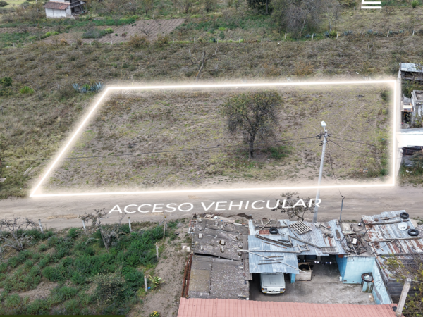 TZU Acciones Inmobiliarias